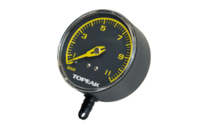 GAUGE