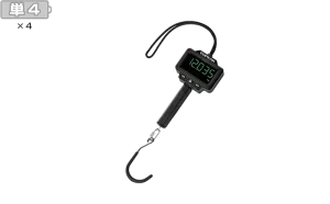 BIKE SCALE TEAM ISSUE