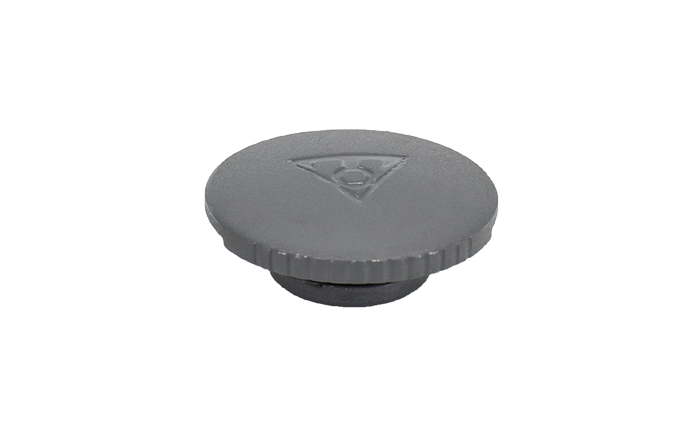 YPP28400