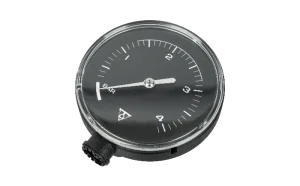 YPP29600